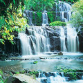 Fotomural Pura Kaunui Falls 8-256